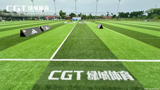 绿色升级：塑料人造草坪的环保与健康双赢选择(图1)