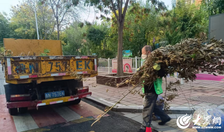 绿色护航 德州园林打造靓丽“德马”赛道_大众网(图2)