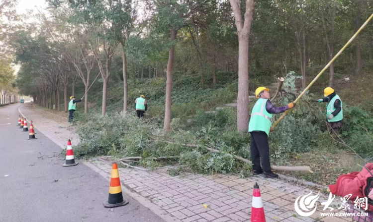 绿色护航 德州园林打造靓丽“德马”赛道_大众网(图1)