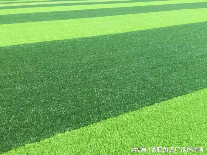 塑胶跑道厂家人造草坪的优势是什么？(图3)