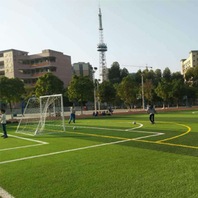休闲景观人造草坪-足球场人造草坪(图2)