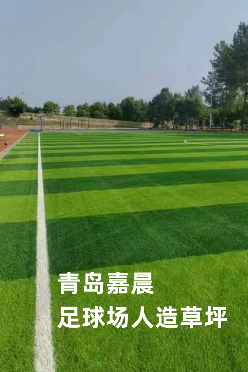 财报速递：共创草坪2024年前三季度净利润394亿元(图1)