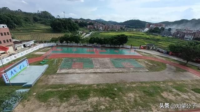 漂亮！广宁这8所学校的体育场地华丽“变身”(图6)