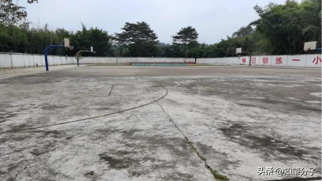 漂亮！广宁这8所学校的体育场地华丽“变身”(图4)