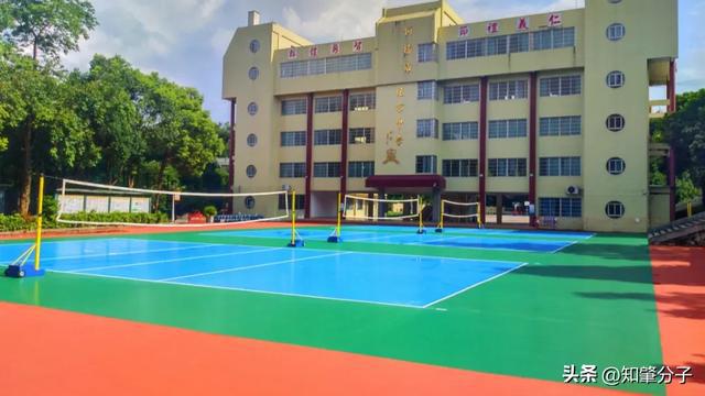 漂亮！广宁这8所学校的体育场地华丽“变身”(图3)