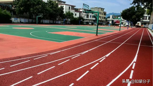 漂亮！广宁这8所学校的体育场地华丽“变身”(图13)