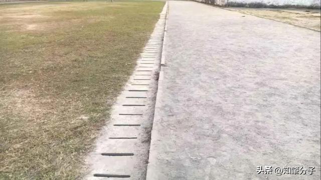 漂亮！广宁这8所学校的体育场地华丽“变身”(图8)