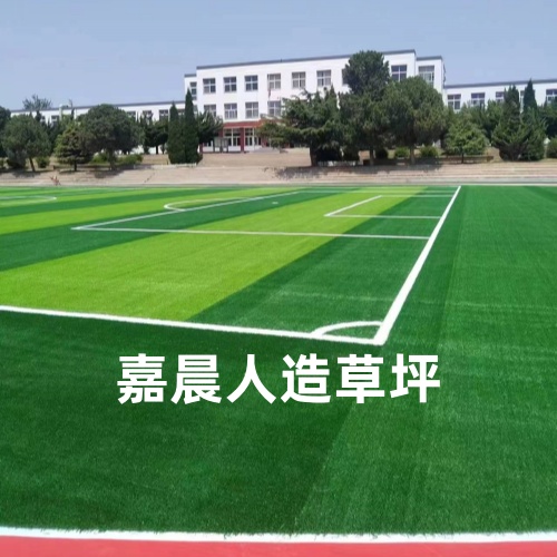 打造专业门球场揭秘顶级人造草坪的选择(图1)