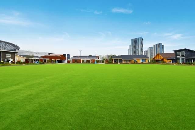 揭秘人造草坪施工：打造绿色运动新空间(图1)