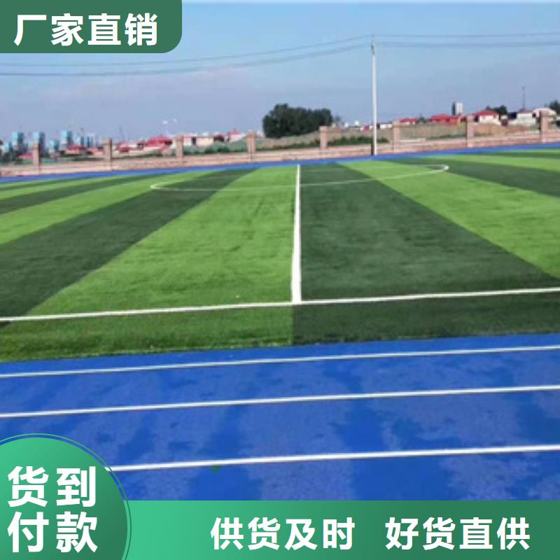 2024人造草坪行业市场未来发展方向及趋势预测(图1)