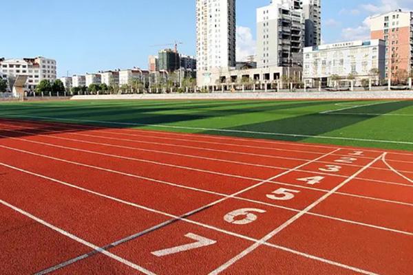 安全升级速度加倍！专业级防滑耐磨塑胶跑道为运动员保驾护航(图3)