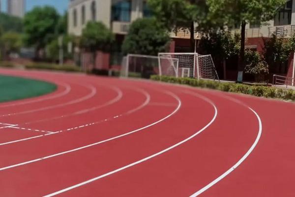 安全升级速度加倍！专业级防滑耐磨塑胶跑道为运动员保驾护航(图2)