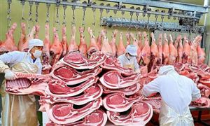 2024年中国人造草坪行业的产业链供需布局及发展现状(图3)