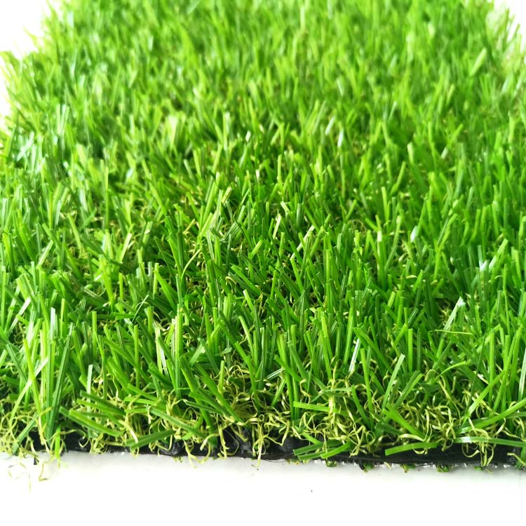 黑龙江新闻—中国新闻网(图1)