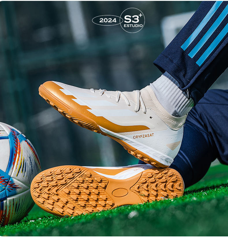 2024-2030年中国草坪草市场现状调研与发展前景报告(图1)