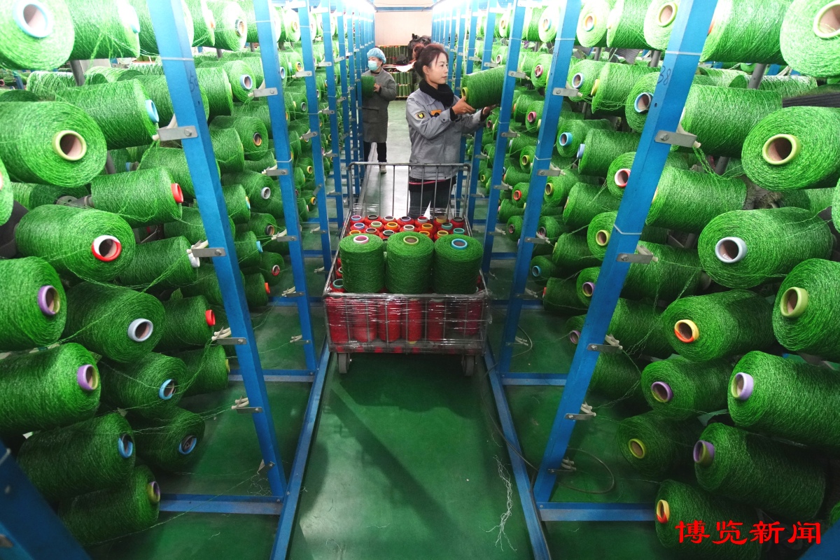 淄博：“人造草”闯世界(图1)