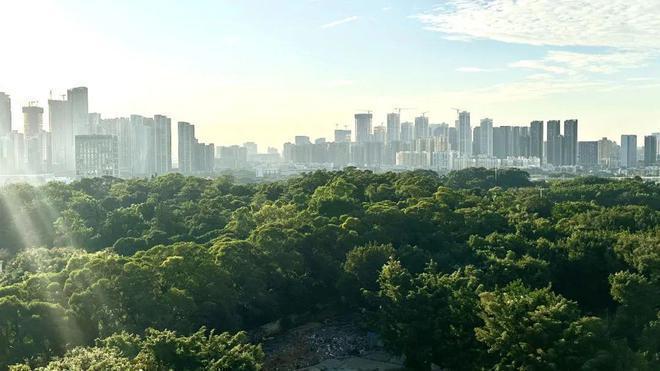 官方发布：2024最新深圳南山天源华府房价多少总价778-2945万(图9)