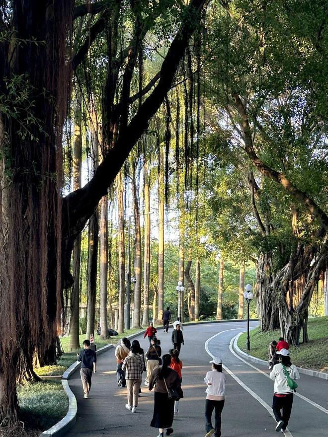 官方发布：2024最新深圳南山天源华府房价多少总价778-2945万(图13)