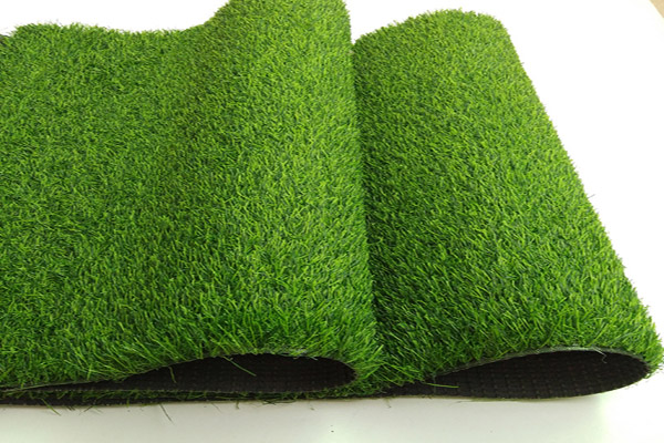 共创草坪收盘下跌030%滚动市盈率1690倍(图1)