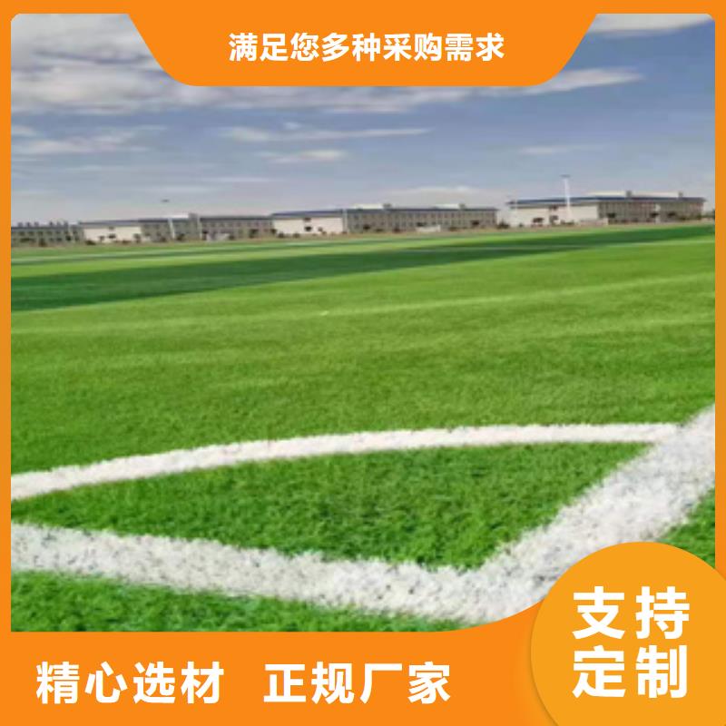 创新技术解决人造草坪回收难行业痛点(图1)