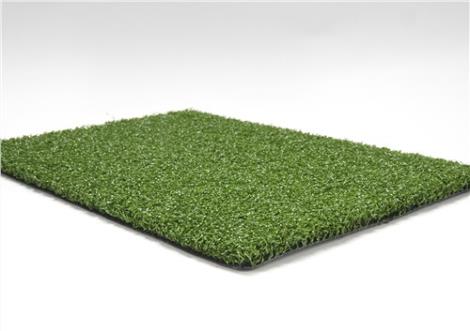 共创草坪股价小幅上涨市盈率表现分析与行业前景展望(图1)