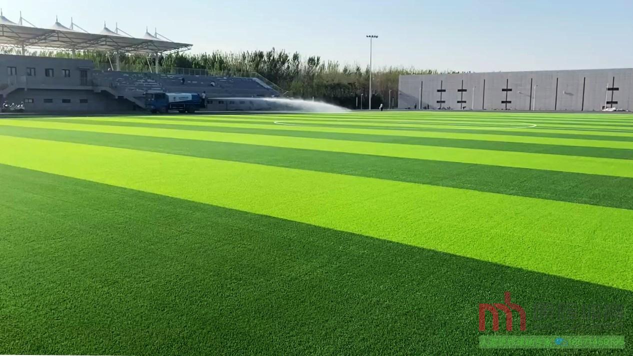 共创草坪（605099）12月16日主力资金净卖出69225万元(图1)