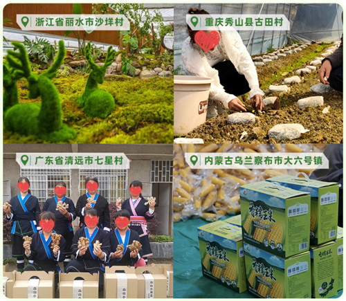 可惜我文笔平平 写不尽国寿这一年(图2)