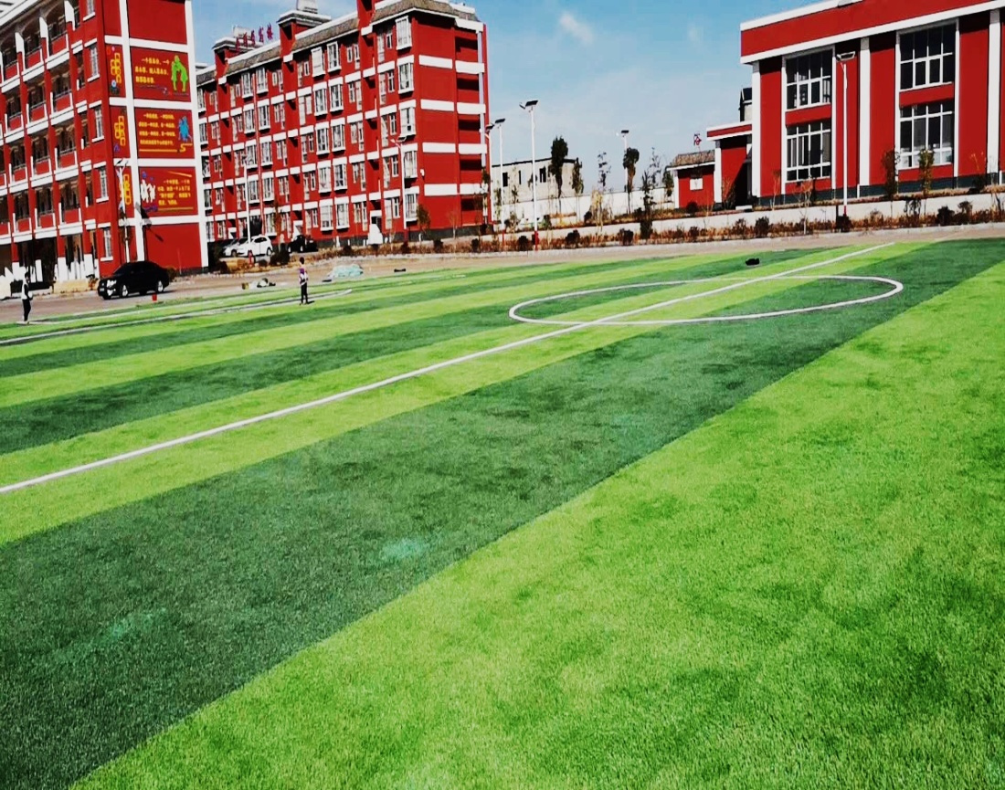 兵团2024年国土绿化种草改良落地上图项目成交结果公告(图1)