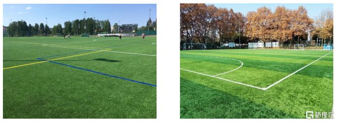 做人造草坪生意年入近20亿青岛青禾冲击A股上市(图1)