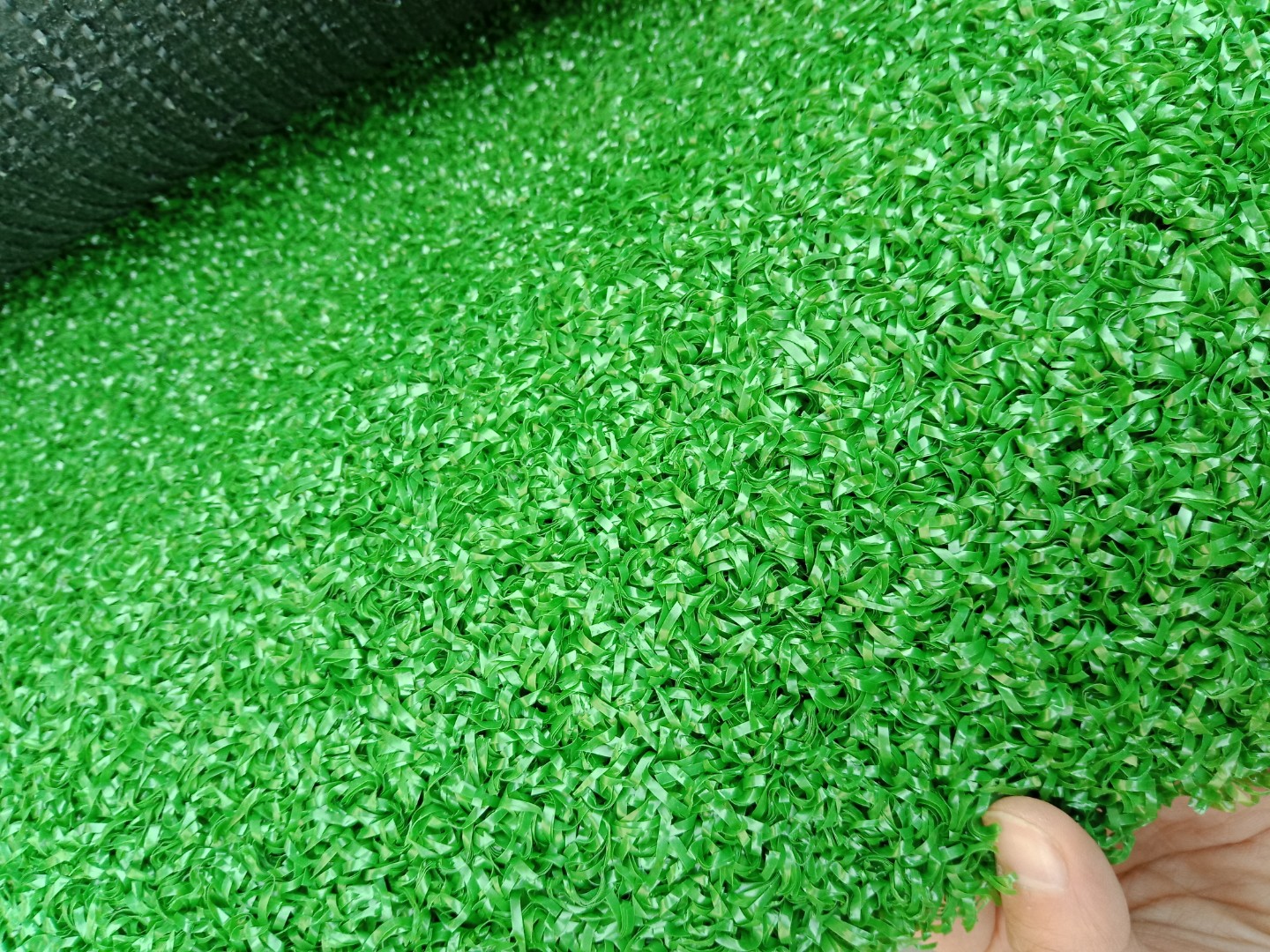 共创草坪股价持续上扬：新一轮股市热潮的背后解析(图1)