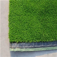 共创草坪（605099）1月3日主力资金净卖出109638万元(图1)