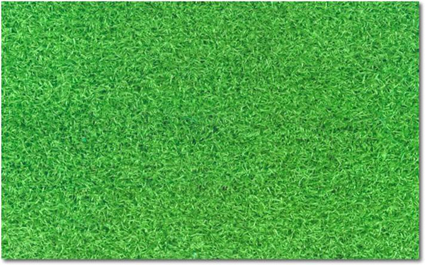 上海立体绿化去年超额完成目标任务(图1)