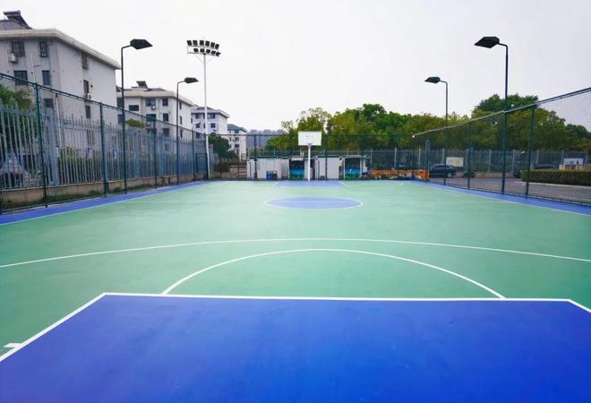 洞泾镇2024年度民生实事项目推进情况回顾→(图6)