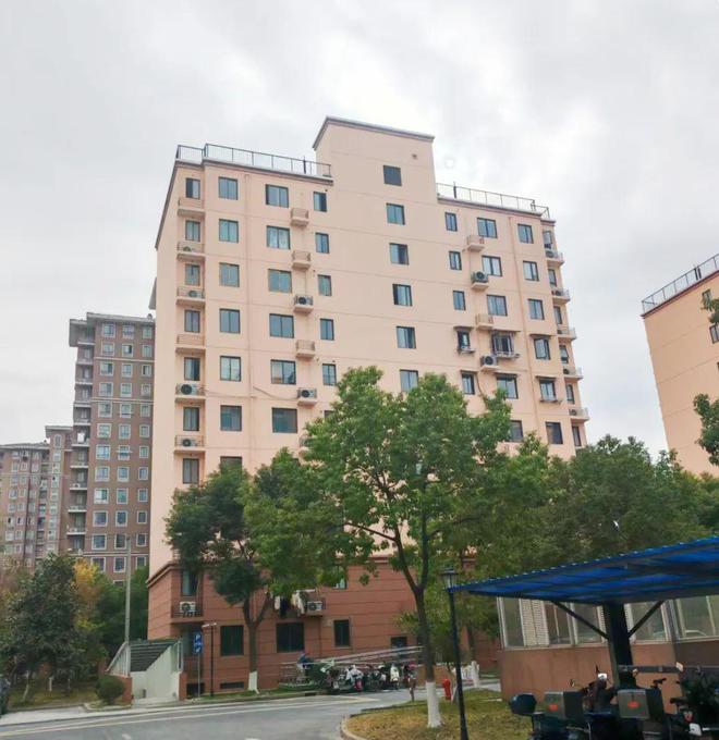 洞泾镇2024年度民生实事项目推进情况回顾→(图8)