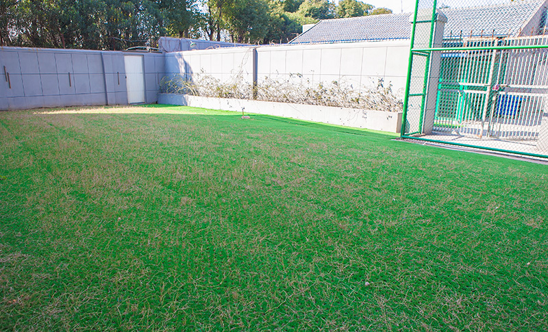 人造草坪优势以及实际应用(图2)