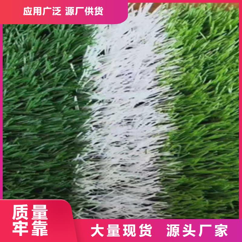 新型人造草坪供应商家(图1)
