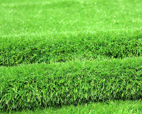 共创草坪涨019%目前股价在压力位2218和支撑位2010之间可以做区间波段(图1)