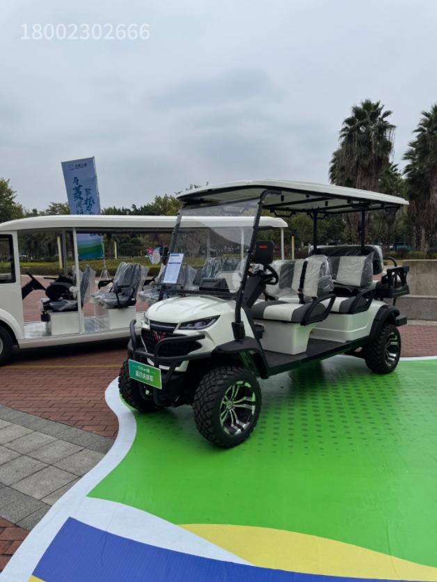 林立五菱T3104+2座高尔夫球车——让高尔夫体验更卓越(图1)