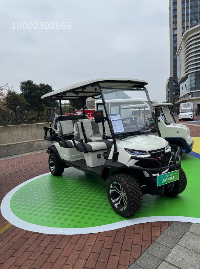 林立五菱T3104+2座高尔夫球车——让高尔夫体验更卓越(图3)