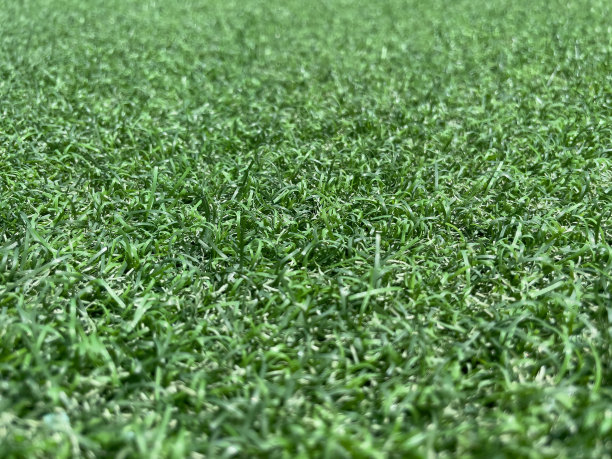 广西林草产业总产值率先突破万亿元大关(图1)