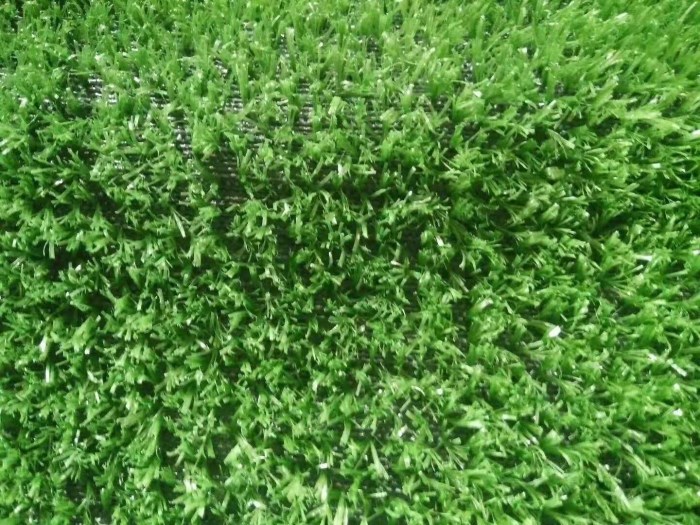 U20亚洲杯即将在深举行！这支球队赛前训练锚定南山(图1)