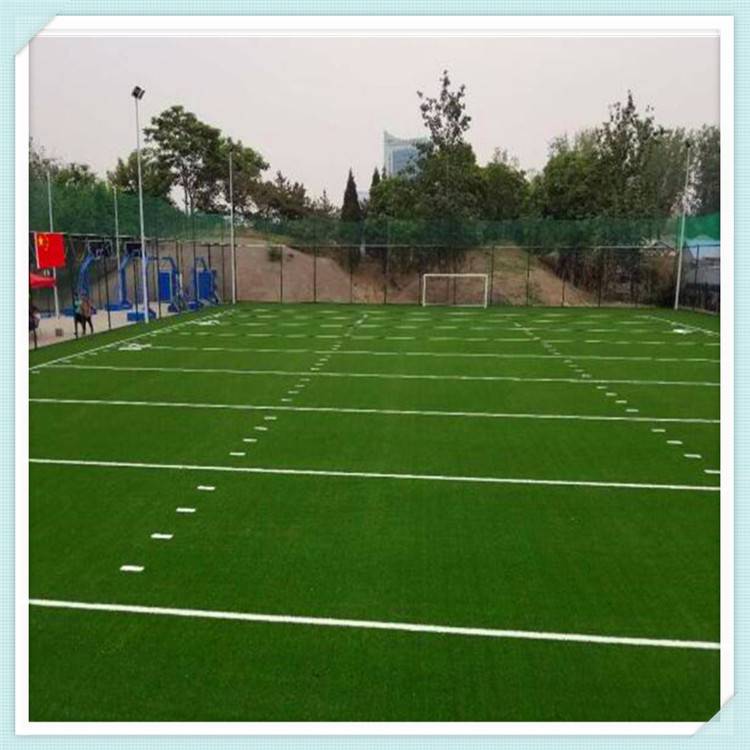 股票行情快报：共创草坪（605099）2月10日主力资金净卖出18727万元(图1)