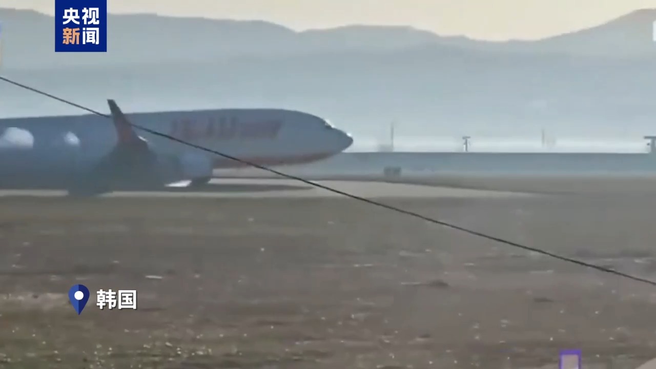韩国公开空难发生前8分钟细节：客机机体与大量鸟类相撞！务安机场跑道“致命土墙”将被拆除(图1)