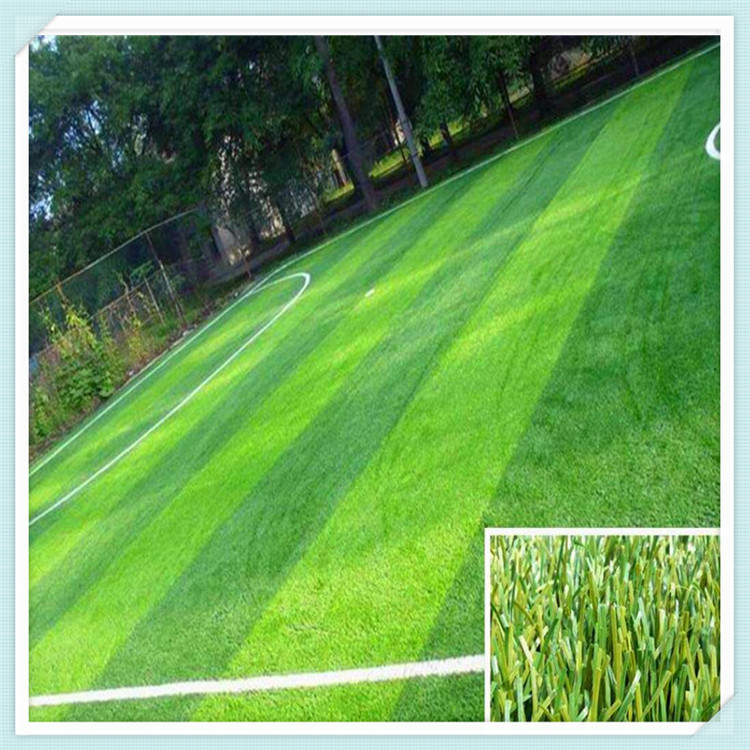 推进6个公园小镇建设建设口袋公园50个配建球场30处……2025年全市园林和林业工作这样干！(图1)