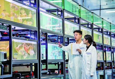 他们的青春在西部(图1)