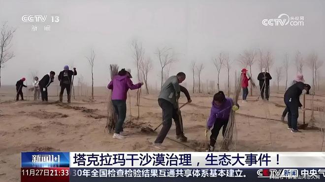 从年均 5 米到 03 米塔克拉玛干沙漠扩张咋被降速的(图4)