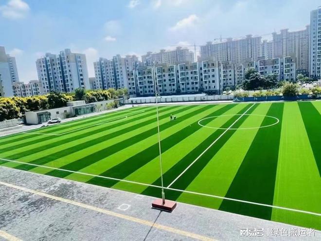 学校足球场人工草坪每平方单价详解(图1)