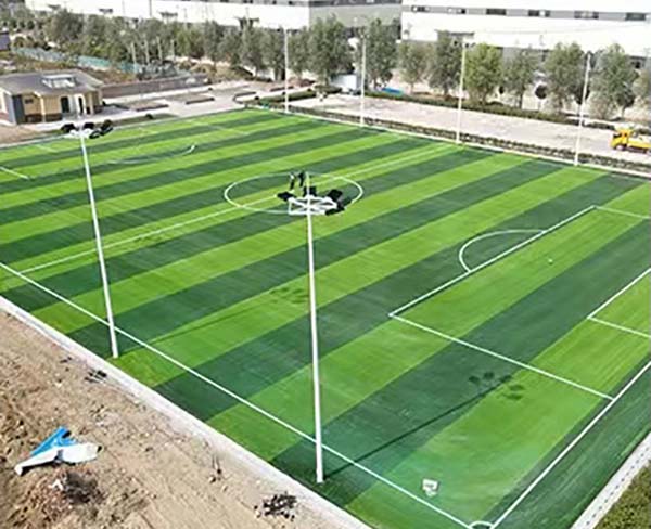 二只光稳定剂龙头上市公司（2025327）(图1)