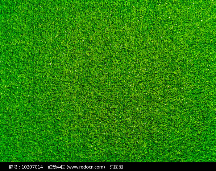 国际足联与国际曲联携手发布双用途人造草坪新标准推动基层体育设施升级(图1)