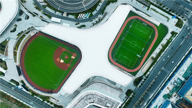 国内免填充人造草坪首选品牌：威腾以科技革新定义运动新体验(图2)